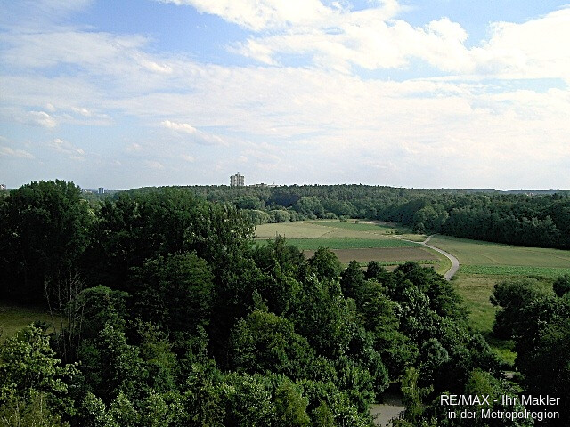 grüner Ausblick