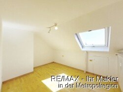 Zimmer DG