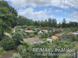 Blick in das Grün