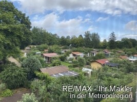 Blick in das Grün