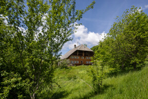 Bild der Immobilie