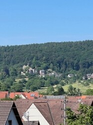 7_Blick auf Burg Landeck