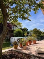 image2 (18)