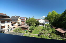 IMG_8664