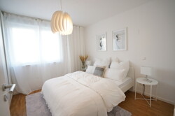 STE01009 (1)