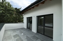 IMG_8894
