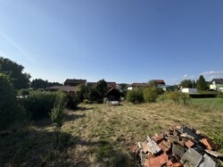 IMG_2445