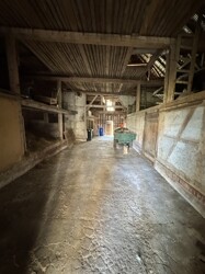 IMG_2241
