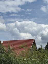 IMG_2243