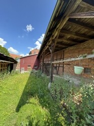 IMG_2225