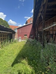 IMG_2224