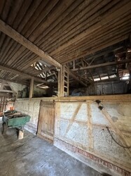 IMG_2240