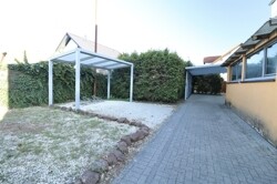 IMG_8553