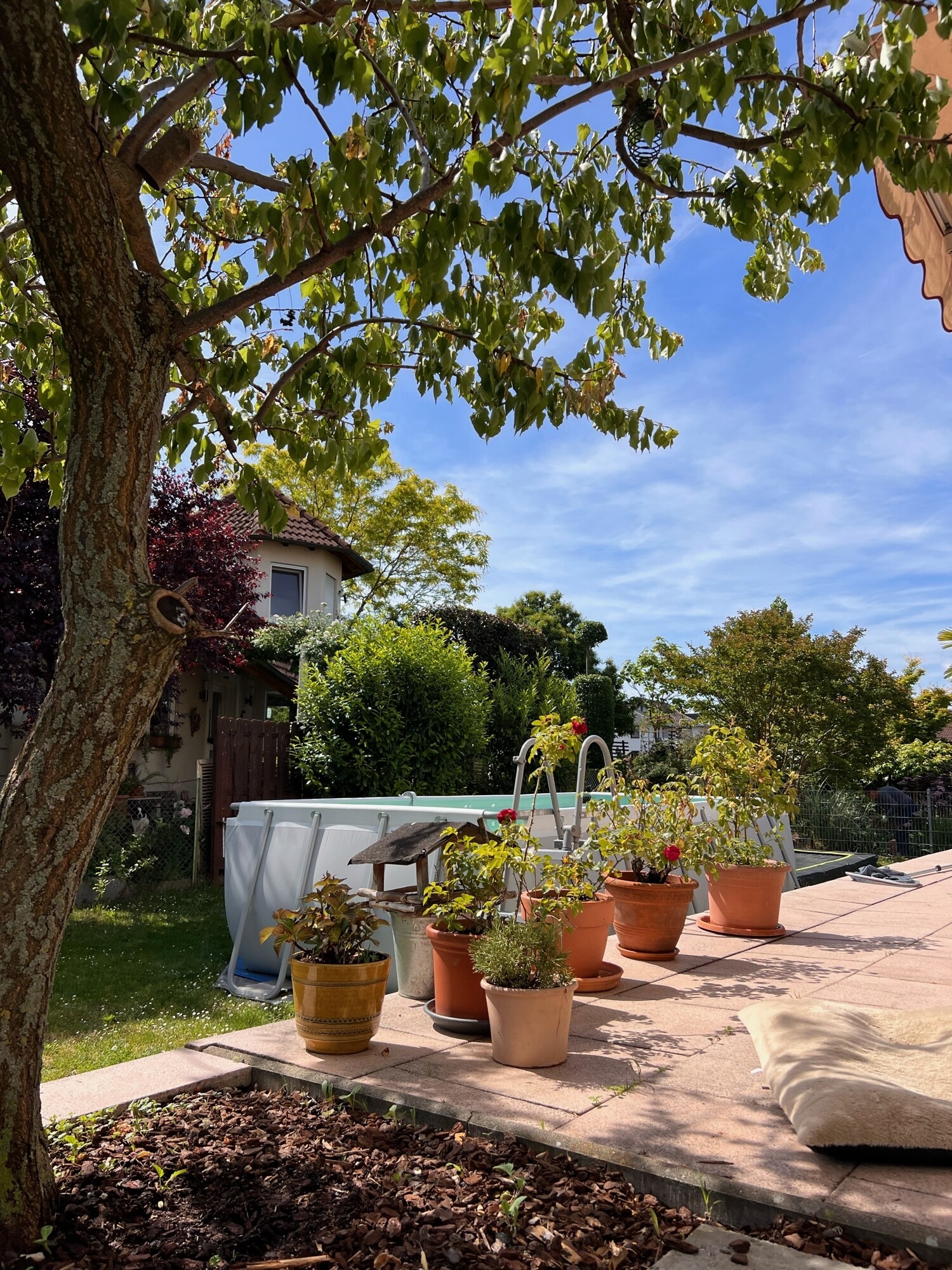 image2 (18)