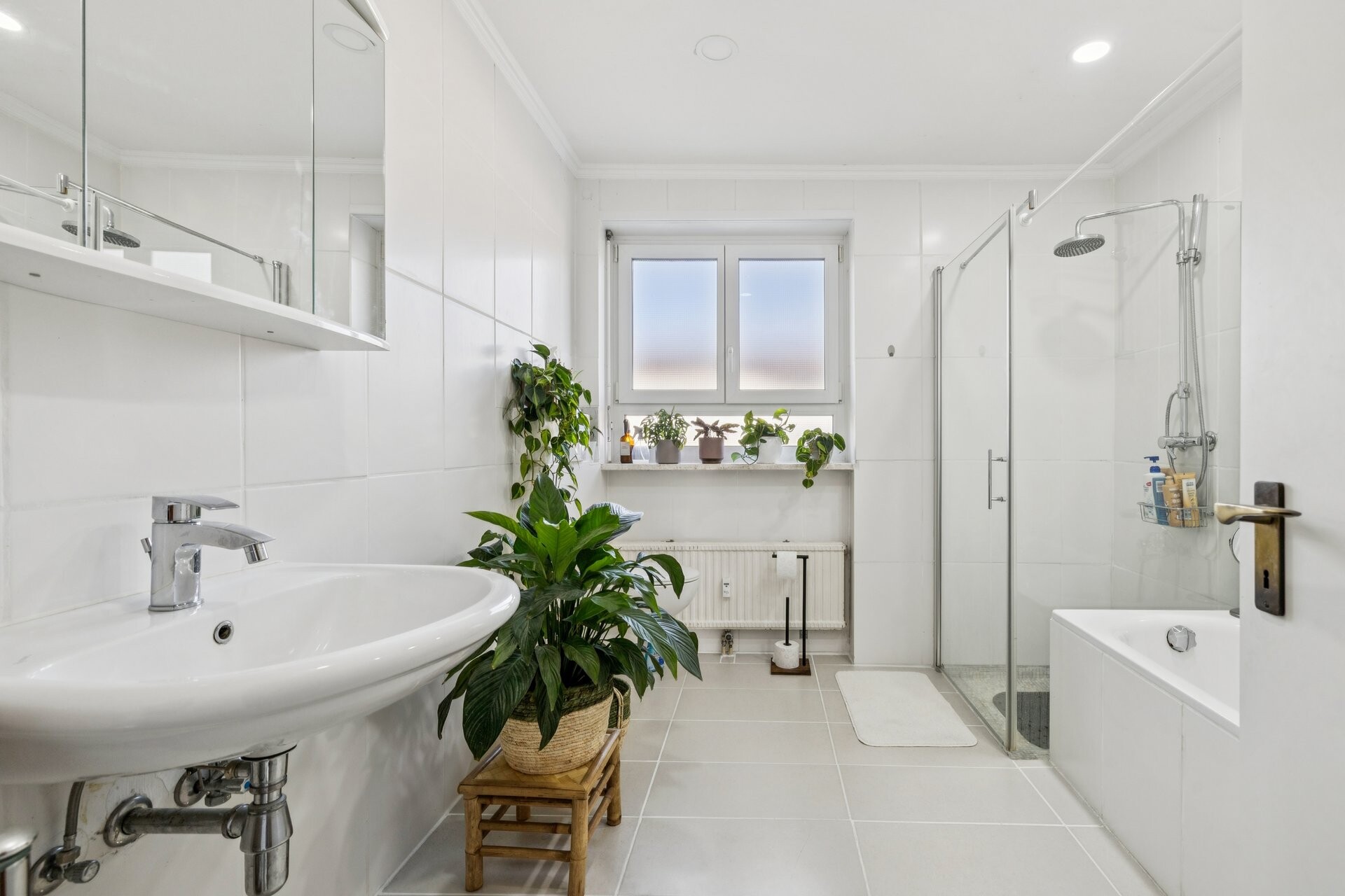 backbone_590880-A_001_WEB