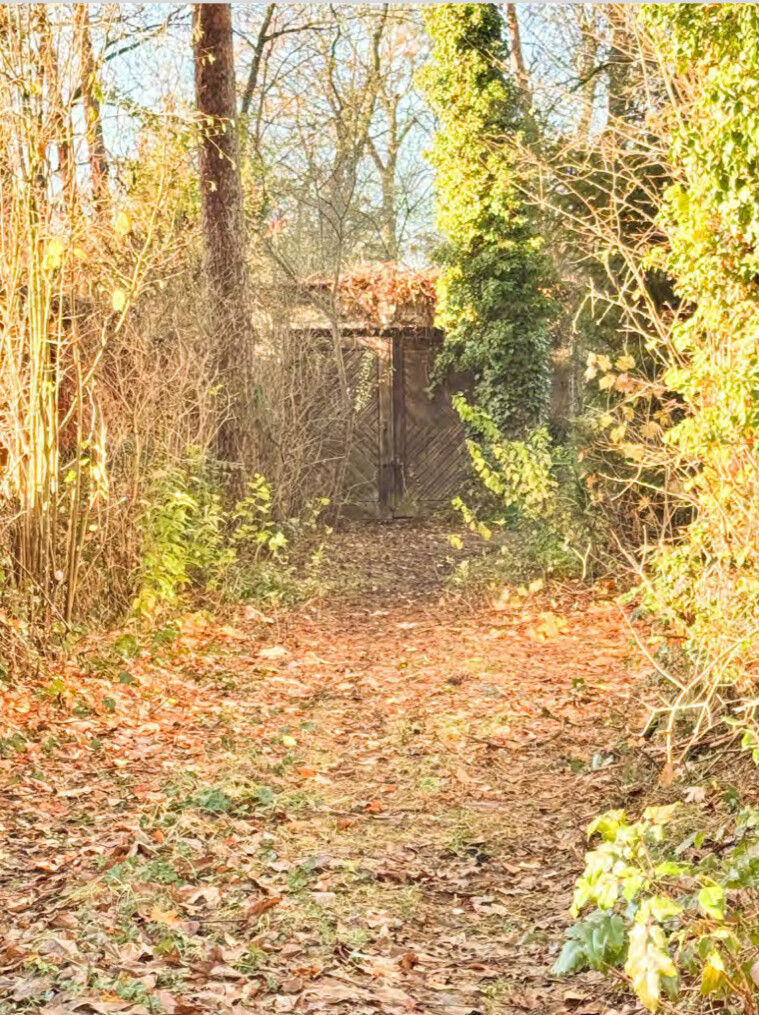 image11 (1)