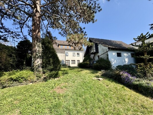 Blick vom Garten