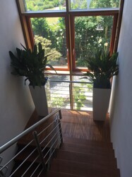 Trier-Kürenz-Petrisberg