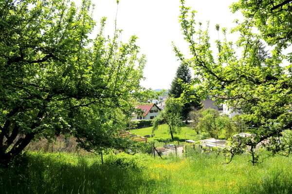 Ausblick ins Illertal