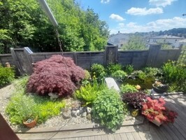 Blick von Terasse