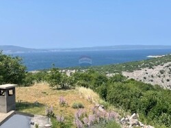 Ausblick