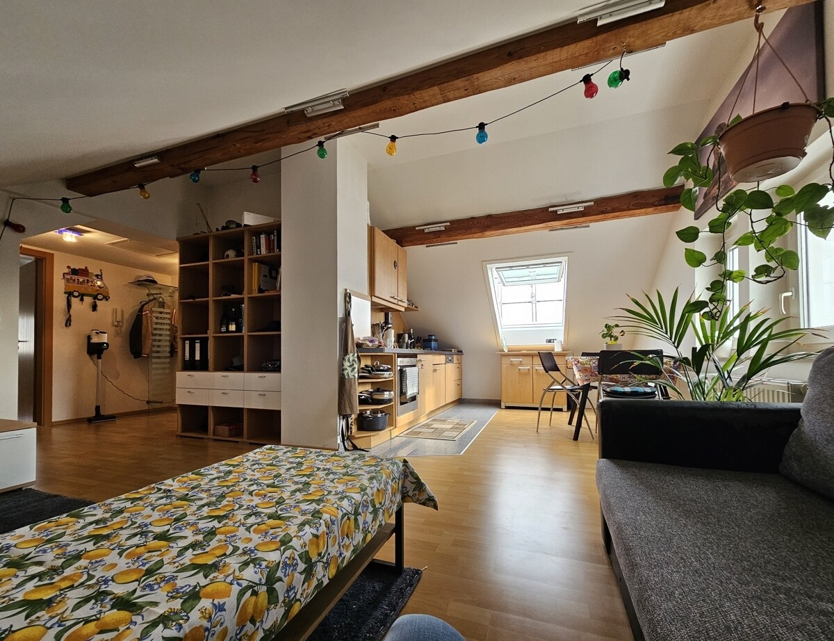 Wohn-, Esszimmer mit Küche/Kochen