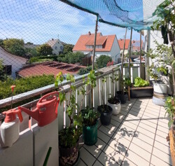 Südwestbalkon