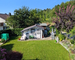 Blick in den Garten