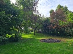 Obstgarten