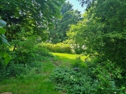 Aussicht vom Haus in den Garten