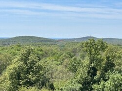Ausblick