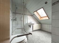 DG Tageslichtbad mit Dusche