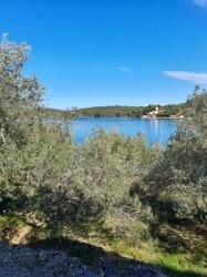 IMG-20210921-WA0001