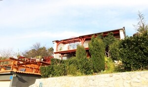 1613341102_img_5216
