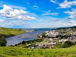 Blick über den Rhein