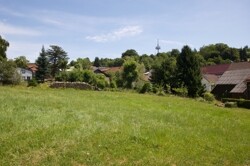 Blick zum Hoherodskopf