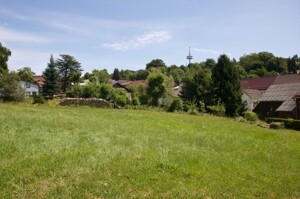 Blick zum Hoherodskopf