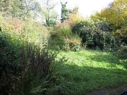 Gartenanteil 1