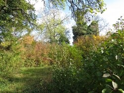 Gartenanteil 2