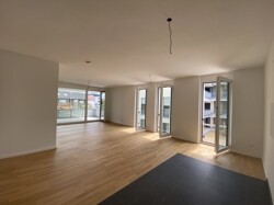 Wohn-Esszimmer