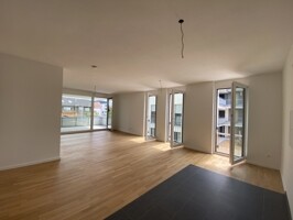 Wohn-Esszimmer