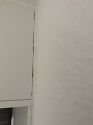 WC - 1