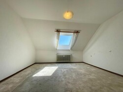 Zimmer DG