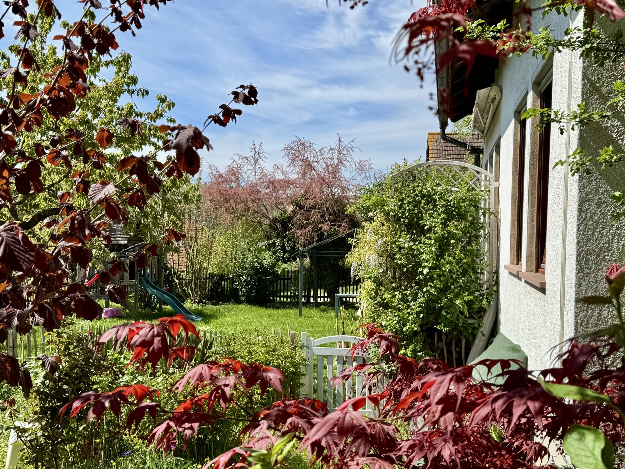 Anbau_Garten_1