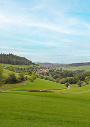 BN_Bilder-Web