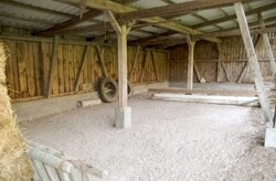 BN_Bilder-Web31
