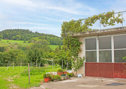 BN_Bilder-Web21