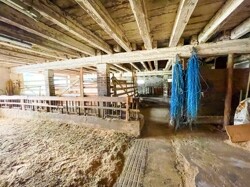 BN_Bilder-Web37