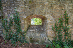 Natur8