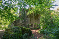 Natur10